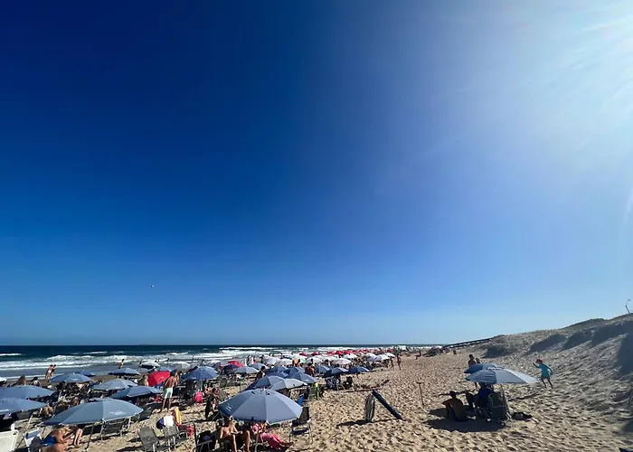 Departamento En Punta Del Este